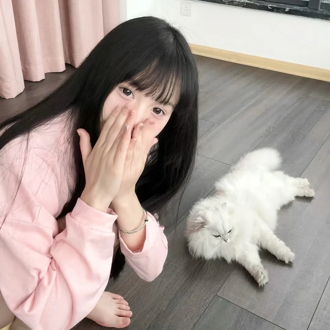特混舰队在行动